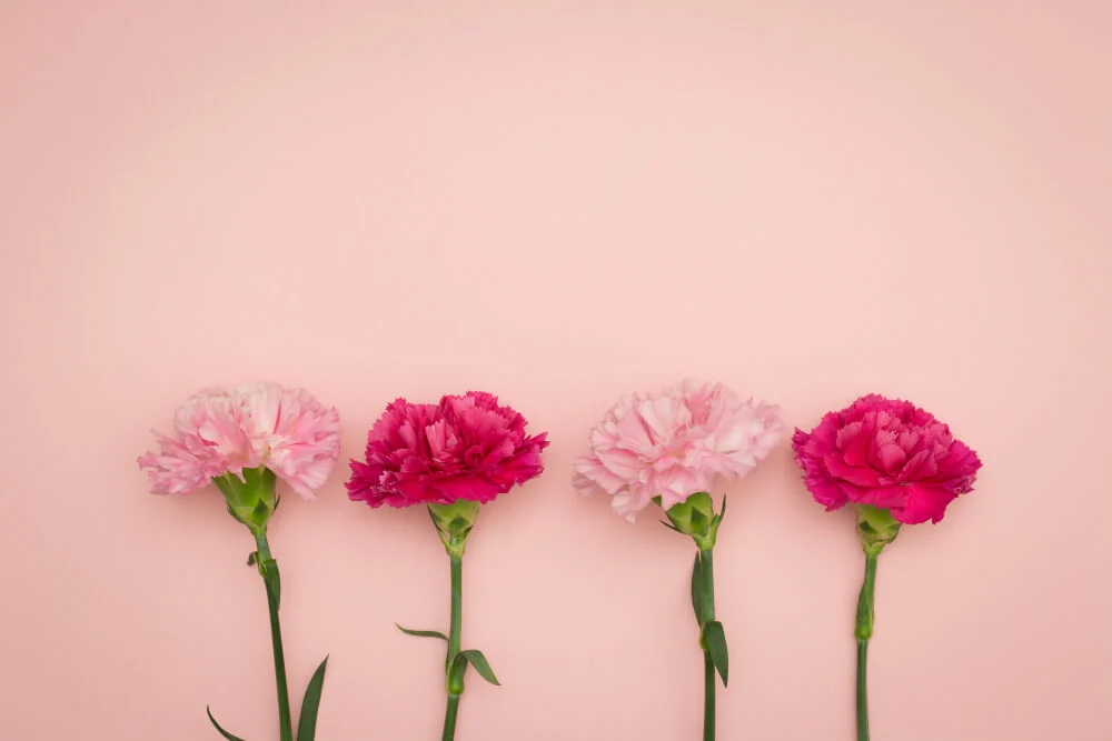 January's Birth Flowers