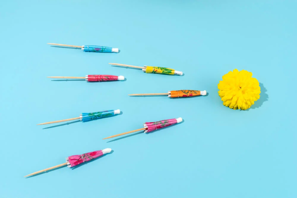 Pipe Cleaner Flowers
