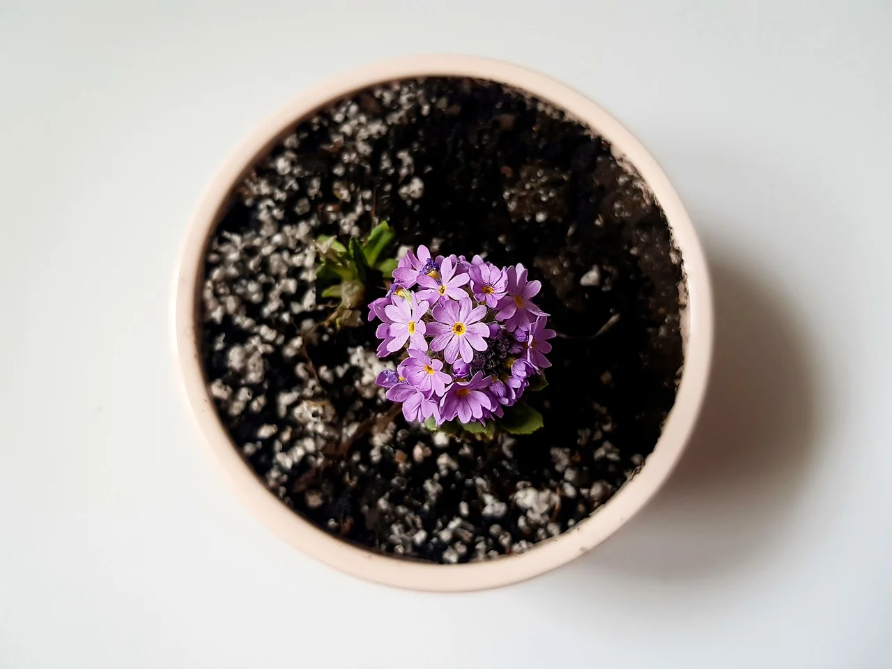 how do you make a flower pot in minecraft - flower pot