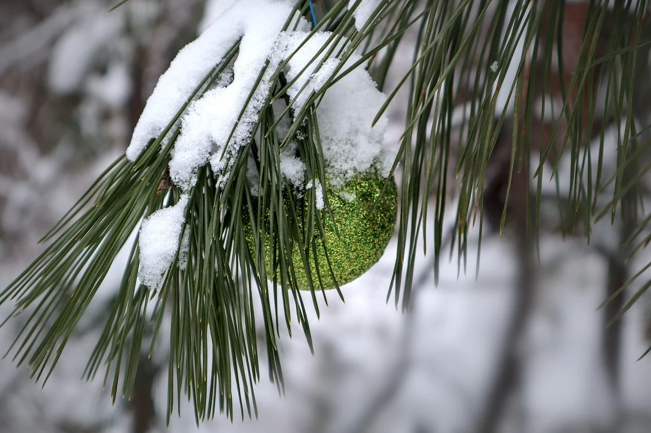 what is maine's state flower - white pine