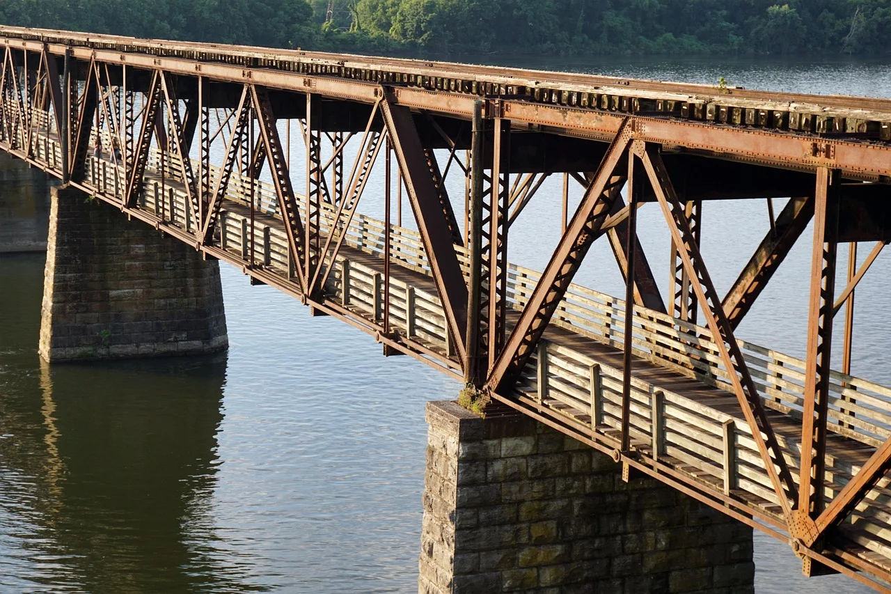 what is tennessee's state flower - Tennessee Iris
